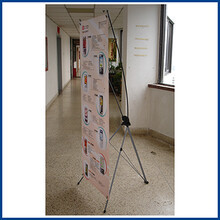 青島彩虹心文化傳播 架設(shè)多元文化交流的橋梁