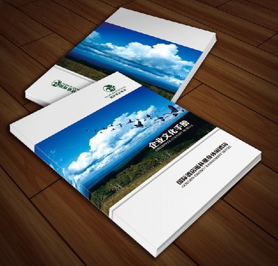 供應福建廣告印刷、畫冊印刷與雜志印刷 莆田印刷廠家的專業服務